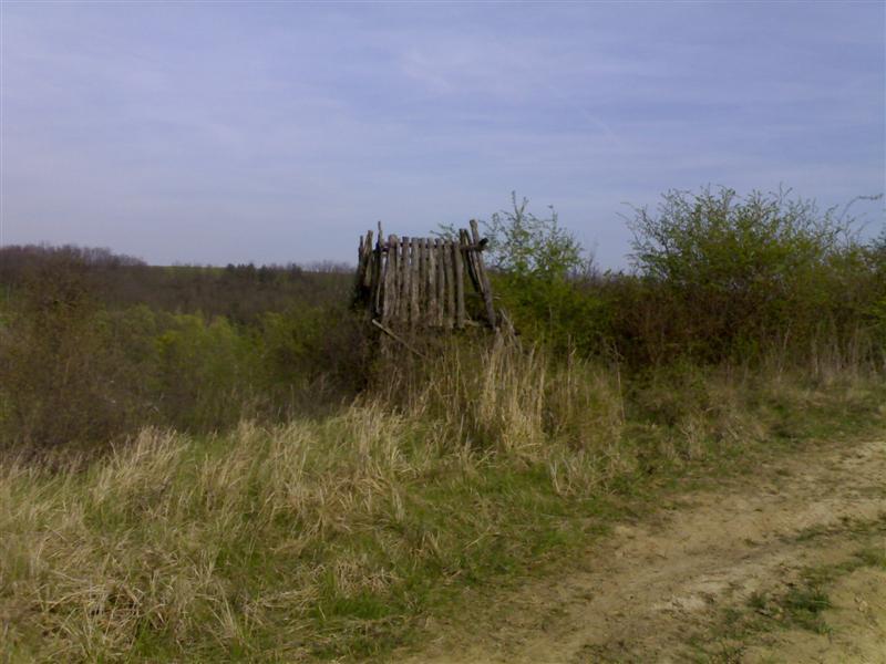200704091744 .jpg